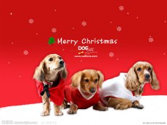 ���칷����θ����ô�죿