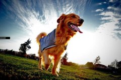 ��ë������θ������ô�죿