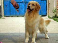 ��ô����ëȮ���ƣ�