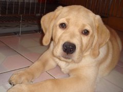 ��������ȱ�Ƴ�ʲô��