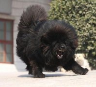 ������������ô�죿