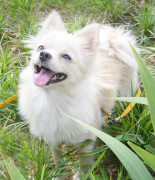 �����г�����ô�죿