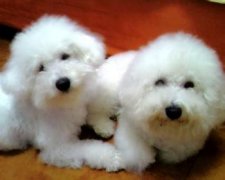 ������ҧ������ô�죿��ͼ��