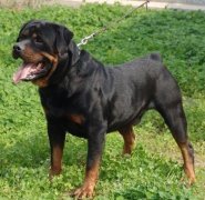 �����ɵ�ë��ô�죿��ͼ��