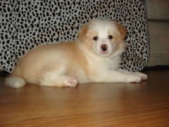 �����Բ���ô���£�ͼ��