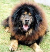 ����ȱ��֢״����Щ��ͼ��