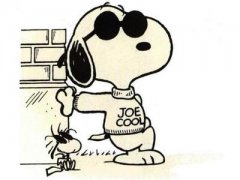 ��������������ô�죿��ͼ��