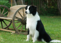 ����������ô��