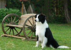 ������θ������ô�죬�������Է�