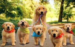 �����ڵĹ�����θ������ʲô