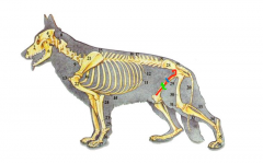 ������θ���ó�ʲôҩ