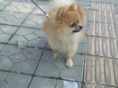 ������ë������ô�죿��ͼ��