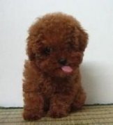 �����ܳ�ˮ���𣿣�ͼ��