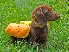 ����������Ҫע����Щ��