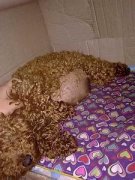 ̩�ϻ��г�ʲô�ã���ͼ��