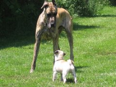 ���������ڼ���β��ƣ�