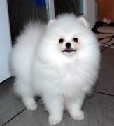 ������˫������ô�죿