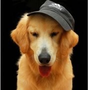 ��ë��ȳ����ô�죿��ͼ��