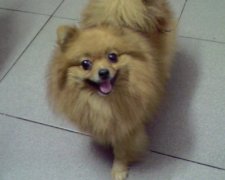 ����ëɫ���á�ë������ô�죿��ͼ��