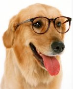 ��ëȱ����ô������ͼ��