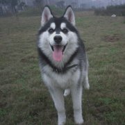 ��ô����ʿ�油�ƣ�ͼ��