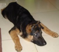 �������Ʋ�����ô��