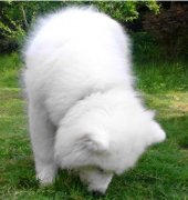 ��ĦҮ����ȱ����ô��