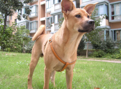 ���������ڼ��ʲô���ƣ�