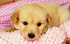 ������·������ô��