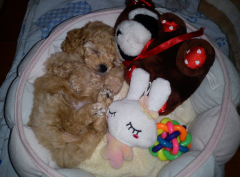 ��ë��������վ��������ô��