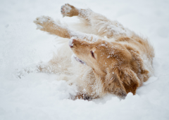 ���Ȯ�ȶ���ô��