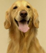 ��ë��Ȧ����ô�죿��ëΪʲô��Ȧ��