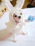 �����޿�����ô�죿��ͼ��