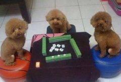 ������̫����ô�죿��ͼ��