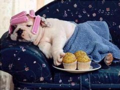 �����˵Ĺ�����ôι������ͼ��