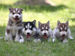 �����ë��ô�죿�������������ë���⣿��