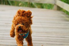 ̩��Ȯ�Ƿ���Ҫ���ƣ�