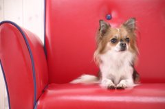 ��θ��������ٲ��ƣ�