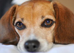 �����˳�����ô��