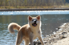 ������ϲ���Է���ô�죿