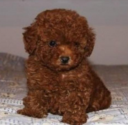 ̩�ϻ�����ô����