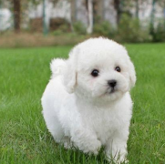 ̩����ô����ȱ����ô�죿