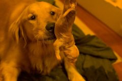 ��ë��Ȯ��ʲô���ƱȽϺã�