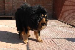 �����������ô�죿��ͼ��