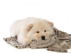 ����������ô��