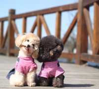 ����������������ݣ�