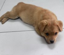 ������·������ô�죨ͼ��