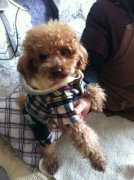 ̩��ȱ�Ƶ�֢״