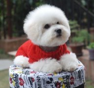 ���ȱ�Ƴ�ʲô��