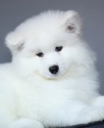 ��ĦҮ�������Ͳ���ô��